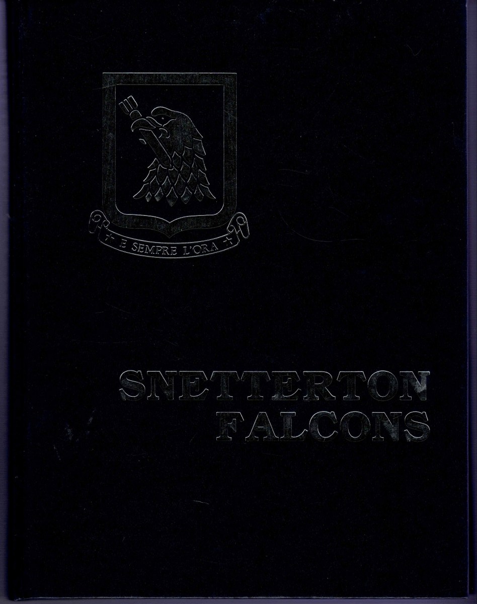 Snetterton Falcons: The 96th Bomb Group in World War II